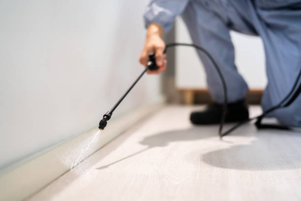 Licensed Pest Control service in Knox County County, IL - Nex Pest Control