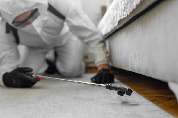 Professional Pest Control technician working in Knox County County, IL